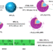 Multi-responsive copolymer gated magnetic mesoporous composite and simultaneous controlling of stimuli to maximize release of encased guest molecules