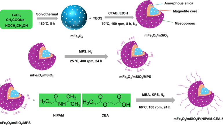 Multi-responsive copolymer gated magnetic mesoporous composite and simultaneous controlling of stimuli to maximize release of encased guest molecules